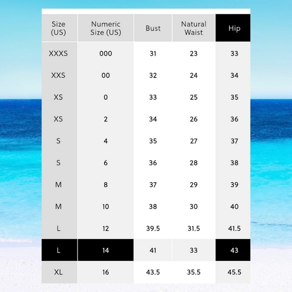 NWT J.Crew Cotton Top - Picture 3 of 3